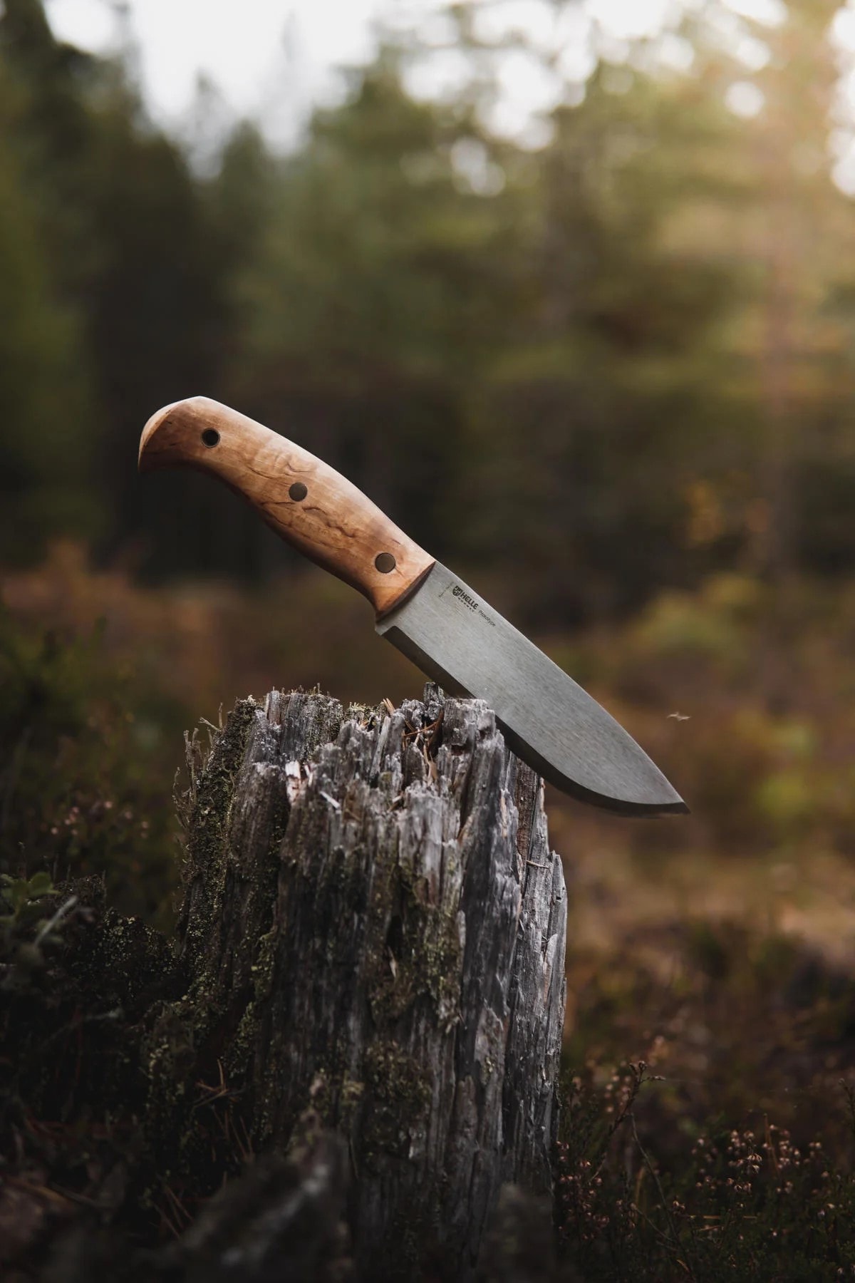 Helle 670 Nord