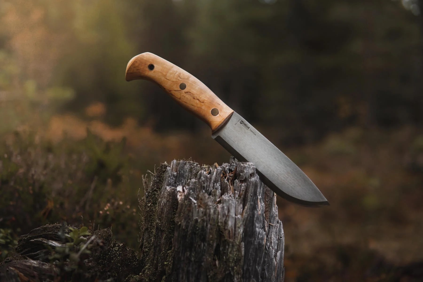 Helle 670 Nord