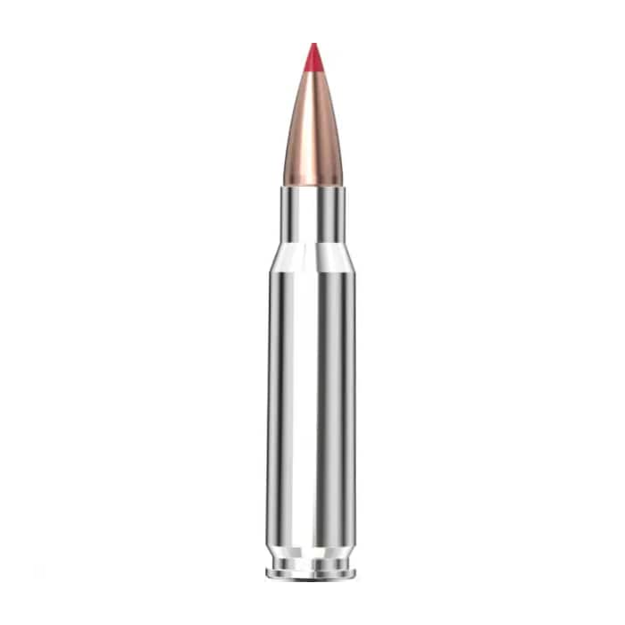 Hornady 308 WIN 165 GR CX OTF