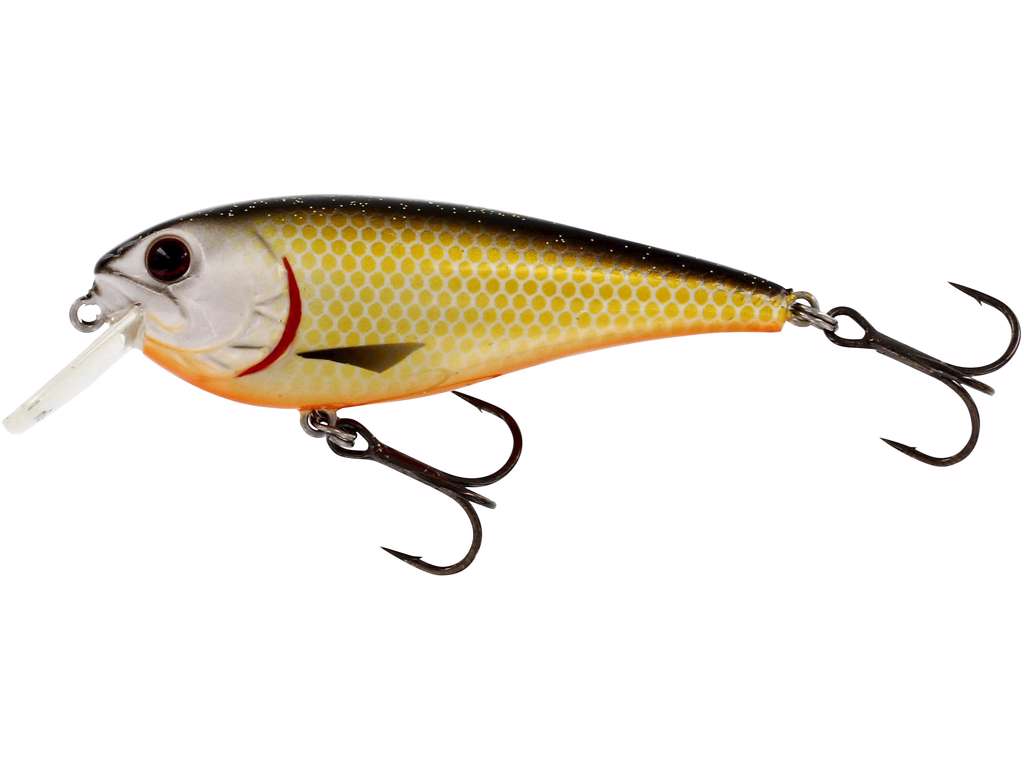 Westin RawBite Crankbait 7cm 12g Floating Official Roach