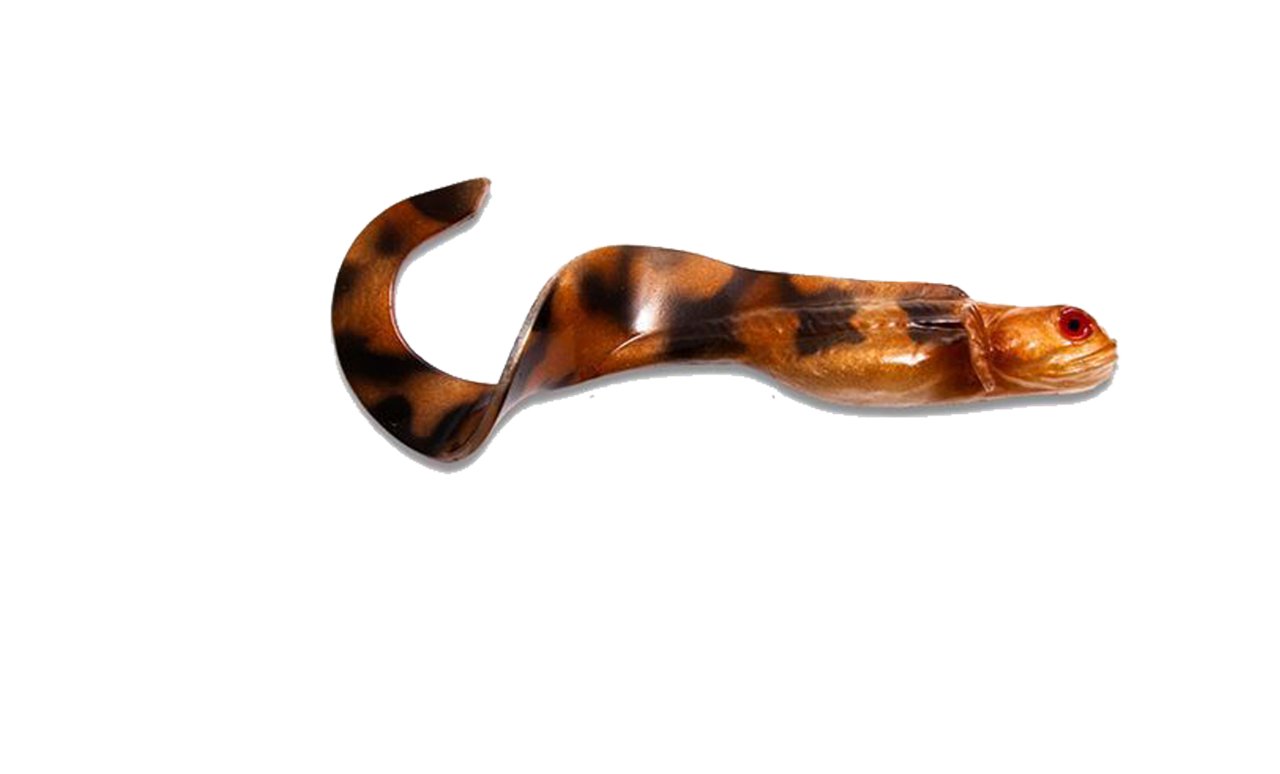 Kanalgratis Nettel Juvenile 2-Pack - Natural Eelpout