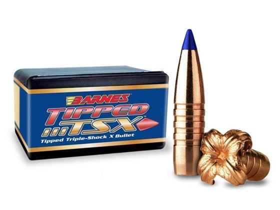 Barnes Tipped Tsx Bullets 22 Cal 55 Grs Ttsx Bt