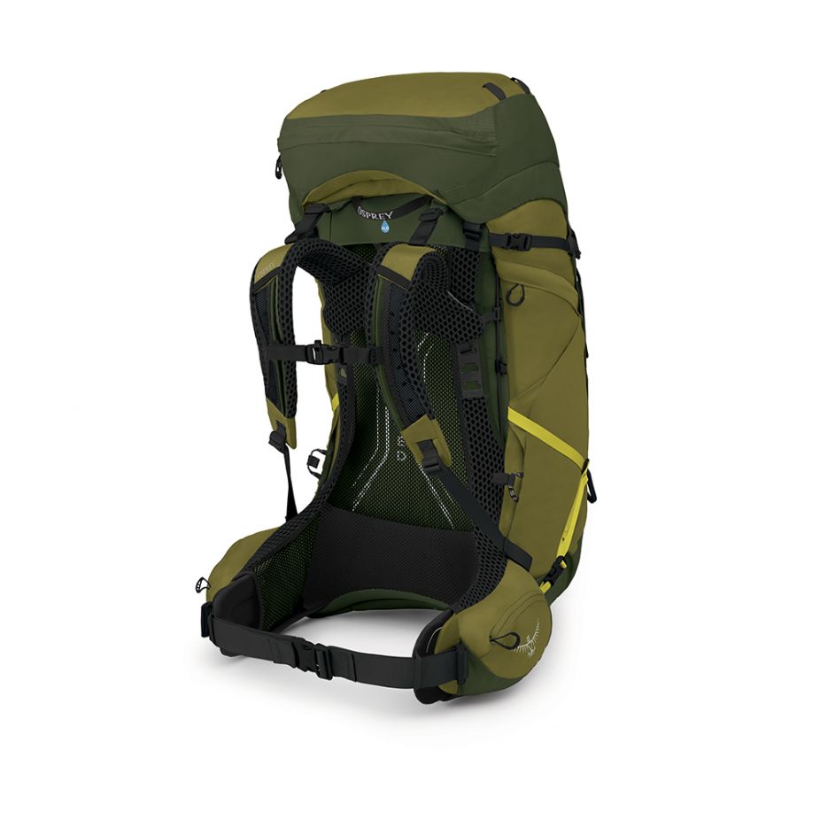 Osprey Atmos AG LT 65 Scenic Valley/Green Peppercorn S/M