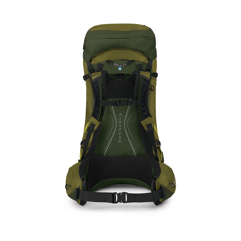 Osprey Atmos AG LT 50 Scenic Valley/Green Peppercorn L/XL