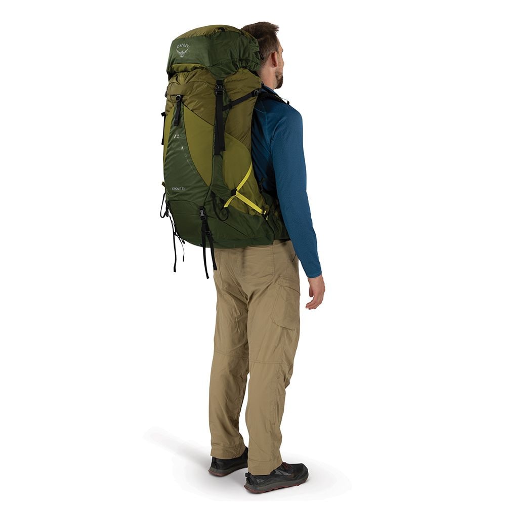 Osprey Atmos AG LT 50 Scenic Valley/Green Peppercorn L/XL