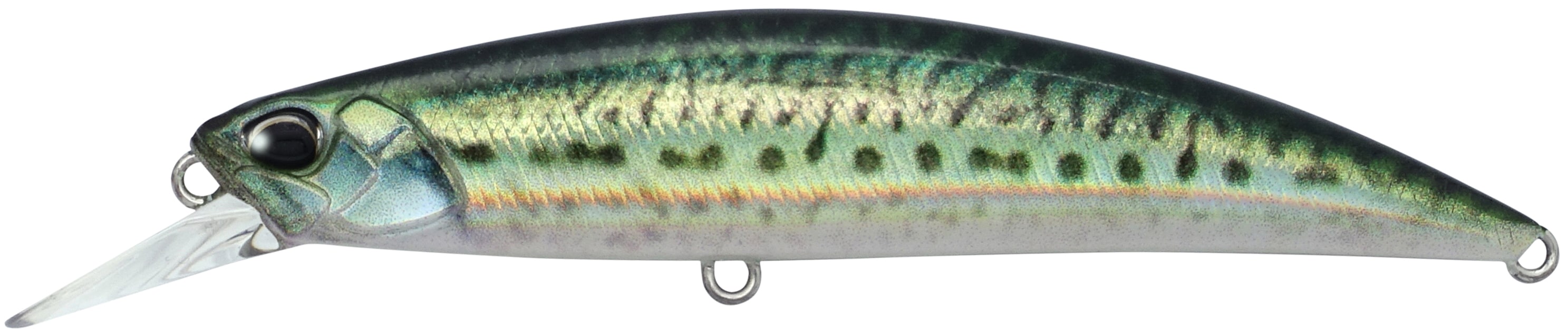 Duo Spearhead Ryuki 80s SW Real Mackerel