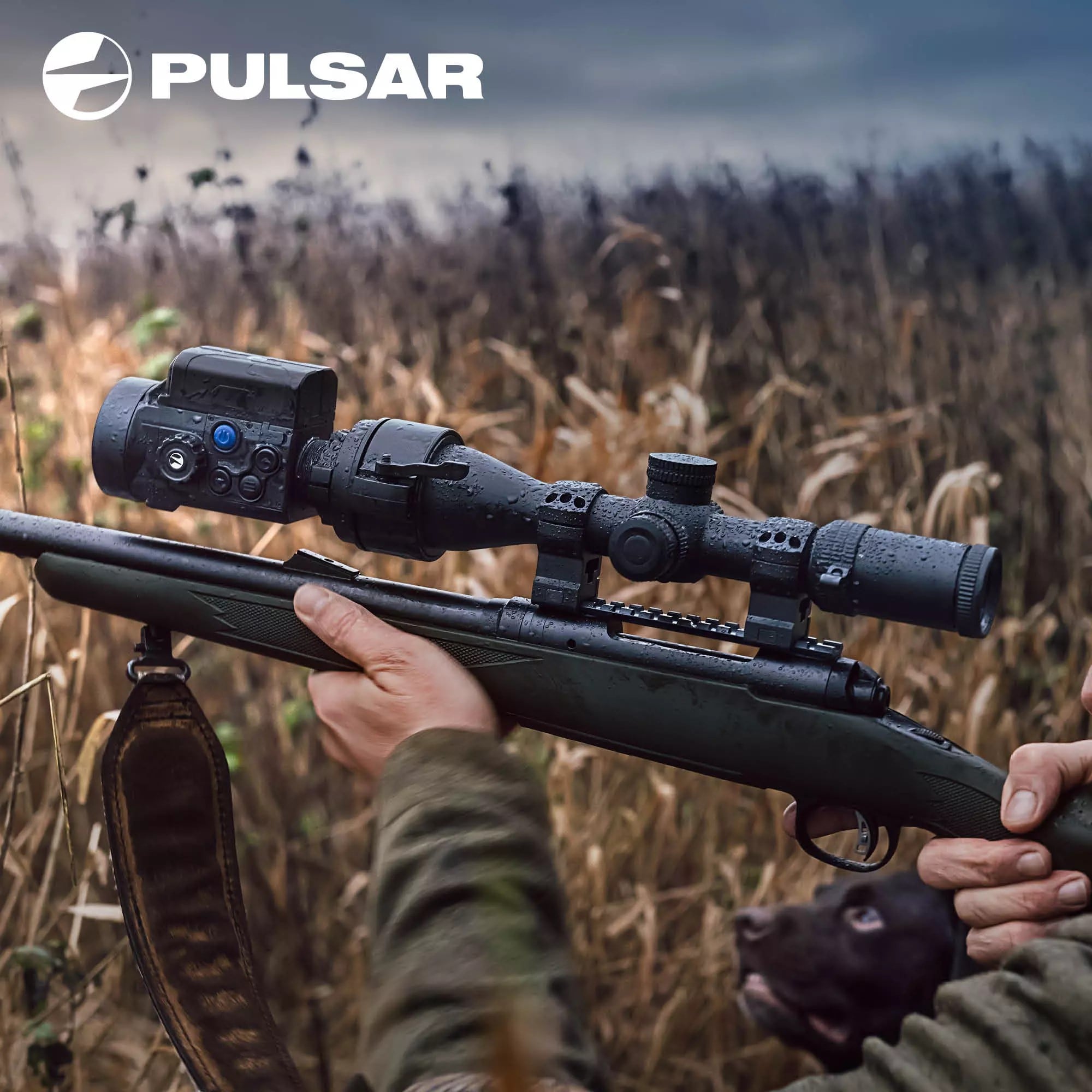 Pulsar Krypton 2 XQ35 Termisk Kikkert m/monokular