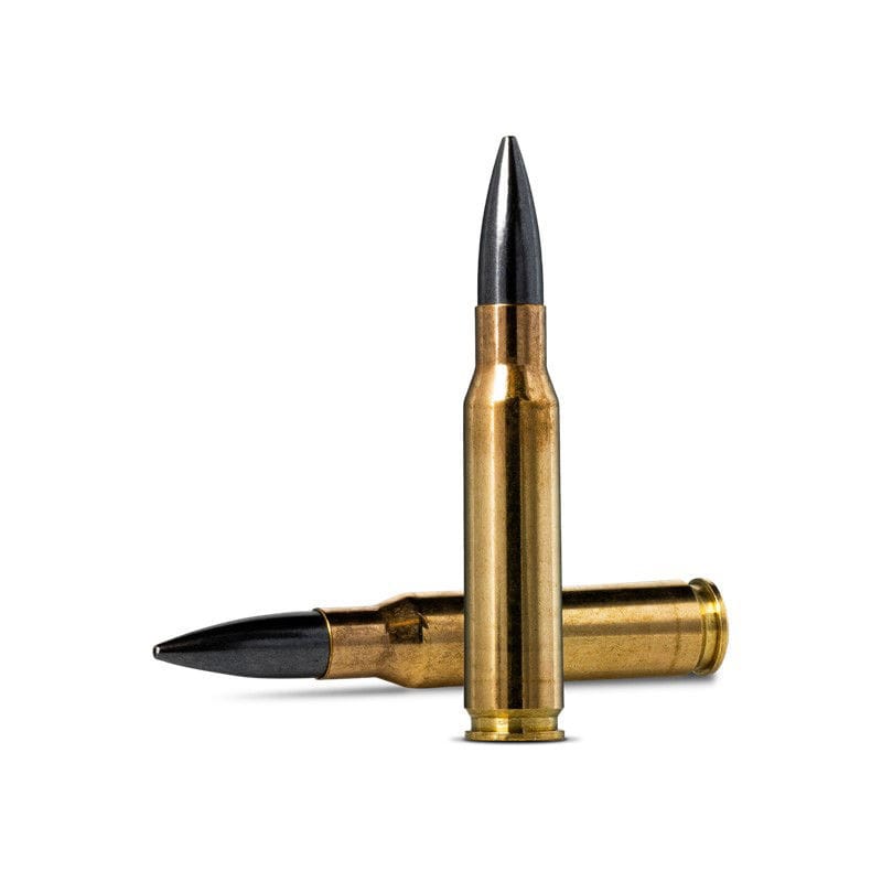 Norma Diamond Line 308 Win 10,9 g/168 gr