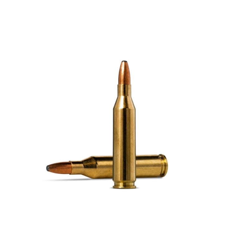 Norma Oryx 243 WIN 6,5 g / 100 gr