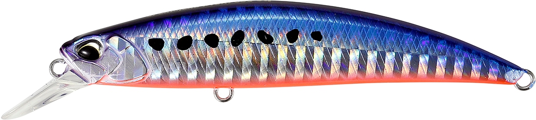 Duo Spearhead Ryuki 80s SW Mazume Sardine