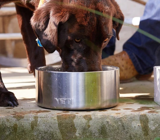 Yeti Boomer 4 Dog Bowl