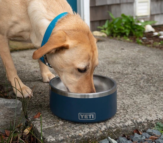 Yeti Boomer 4 Dog Bowl