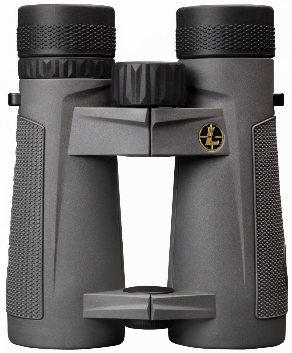 Leupold BX-5 Santiam HD 10x42mm Gray