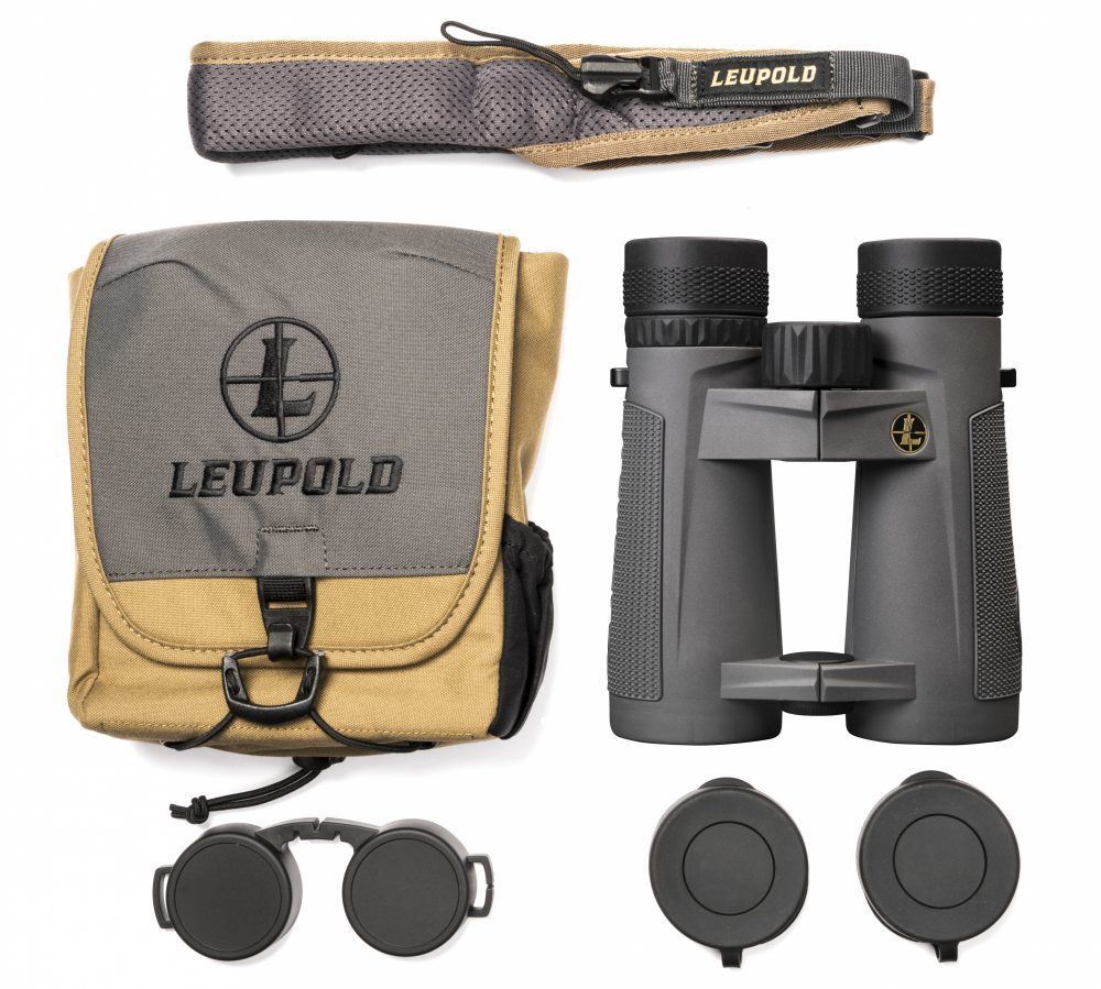 Leupold BX-5 Santiam HD 10x42mm Gray