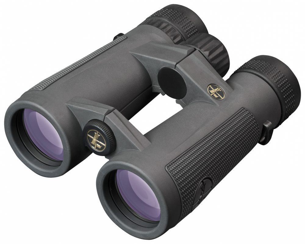 Leupold BX-5 Santiam HD 10x42mm Gray