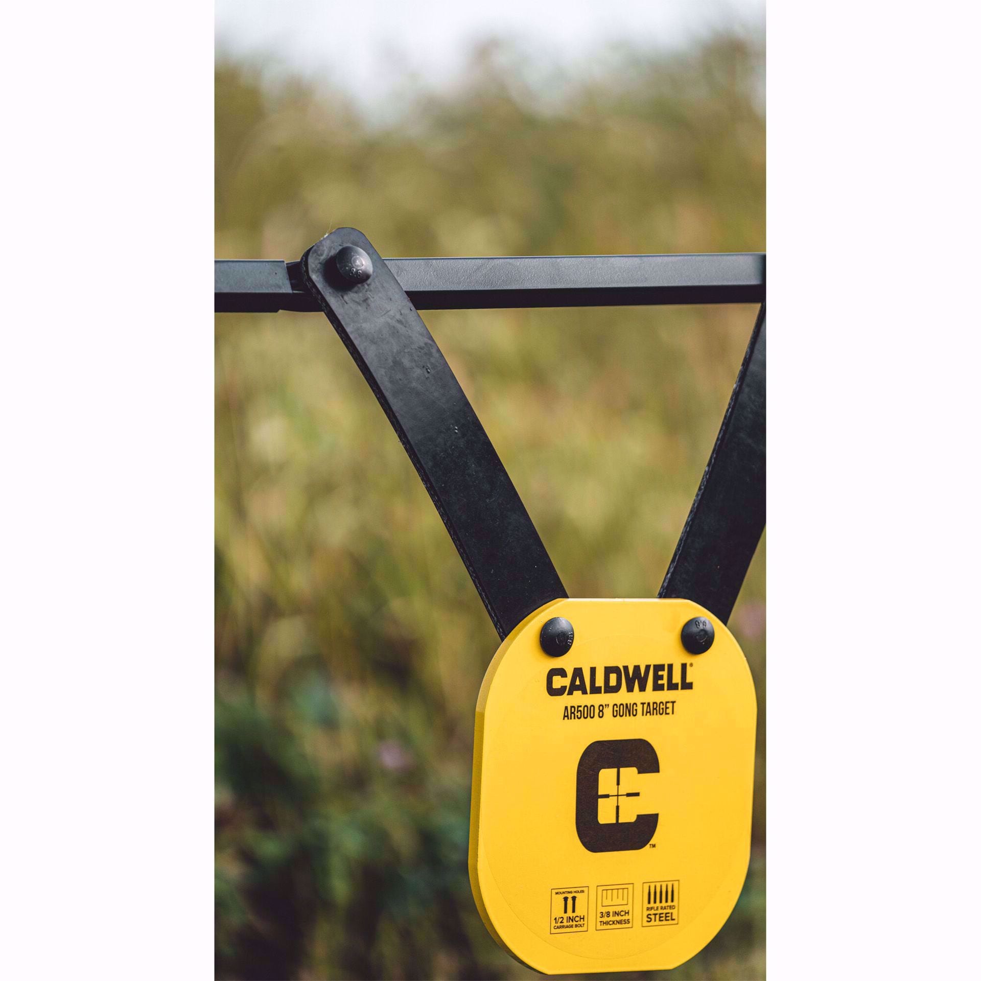 CALDWELL Strap Plate Hanger Set CP=6