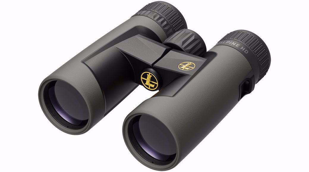 Leupold BX-2 Alpine HD 10x42mm Roof Shadow Gray