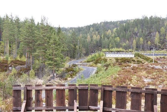 Børsemaker Innskyting eks patroner Fra