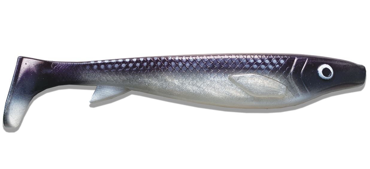 Kanalgratis Fatnose Shad 23cm Coregonus