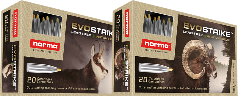 Norma Evostrike 270 WIN 6,2 g / 96 gr