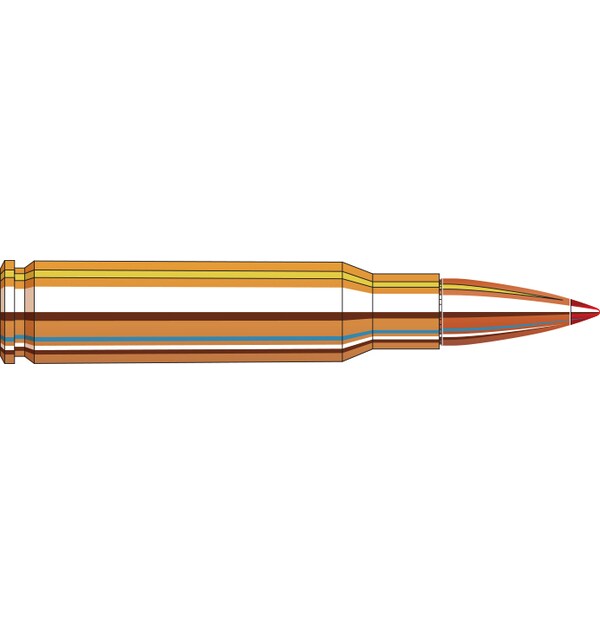 Hornady Superformance 308 Win 165 Gr Sst