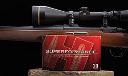 Hornady Superformance 30-06 Sprg 180 Gr Sst