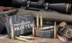 Hornady Precision Hunter 30-06 Sprg 178 Gr Eld-X
