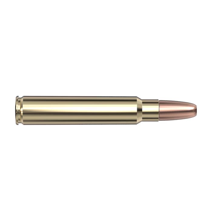Hornady Dangerous Game 375 Ruger 300 Gr Dgx Superformance