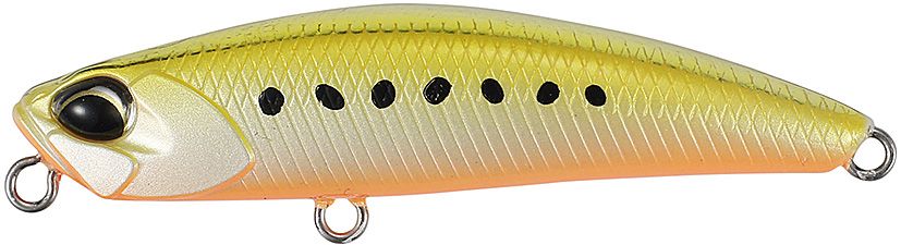 Duo Tetra Works Yurameki Golden Sardine