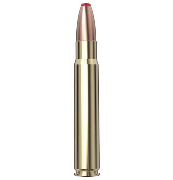 Hornady International 9,3x62 250 Grs ECX™