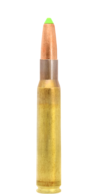 Lapua 30-06 11g N558 Naturalis ''NY''