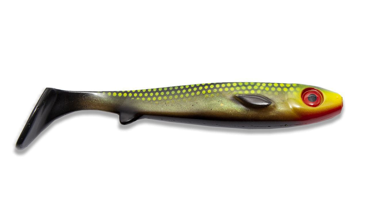 Kanalgratis Flatnose Shad 19cm Jungle Tench - Jakt & friluft