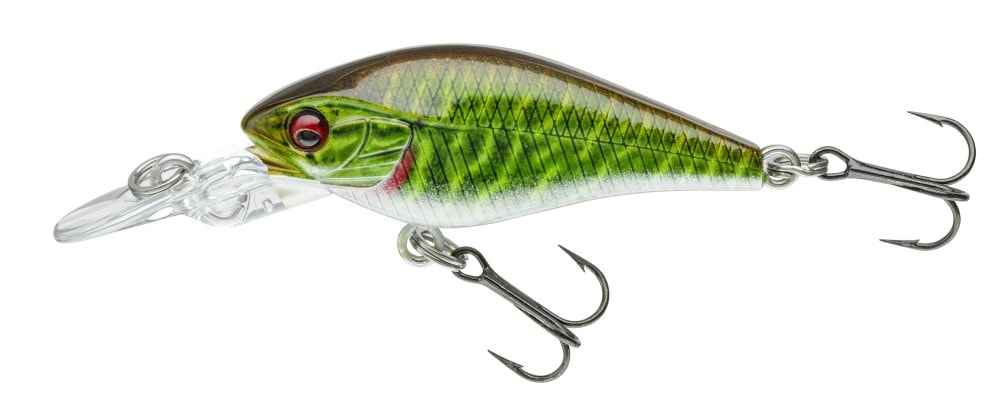 Daiwa PX BABY CB40MR LIVE PIKE