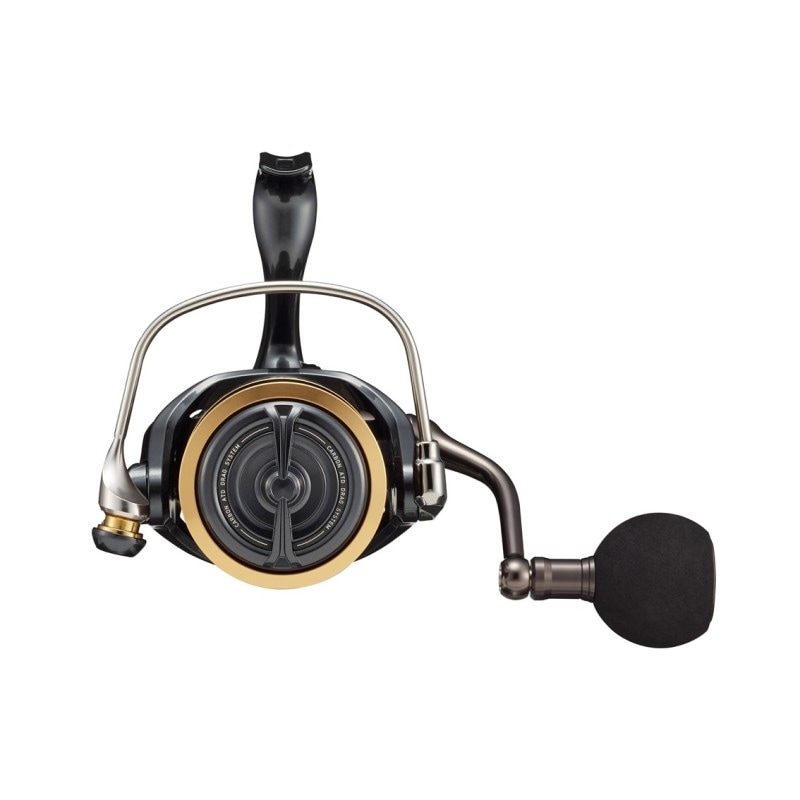Daiwa 22 CALDIA SW 4000D-CXH