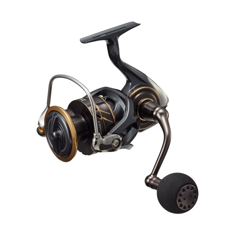 Daiwa 22 CALDIA SW 4000D-CXH
