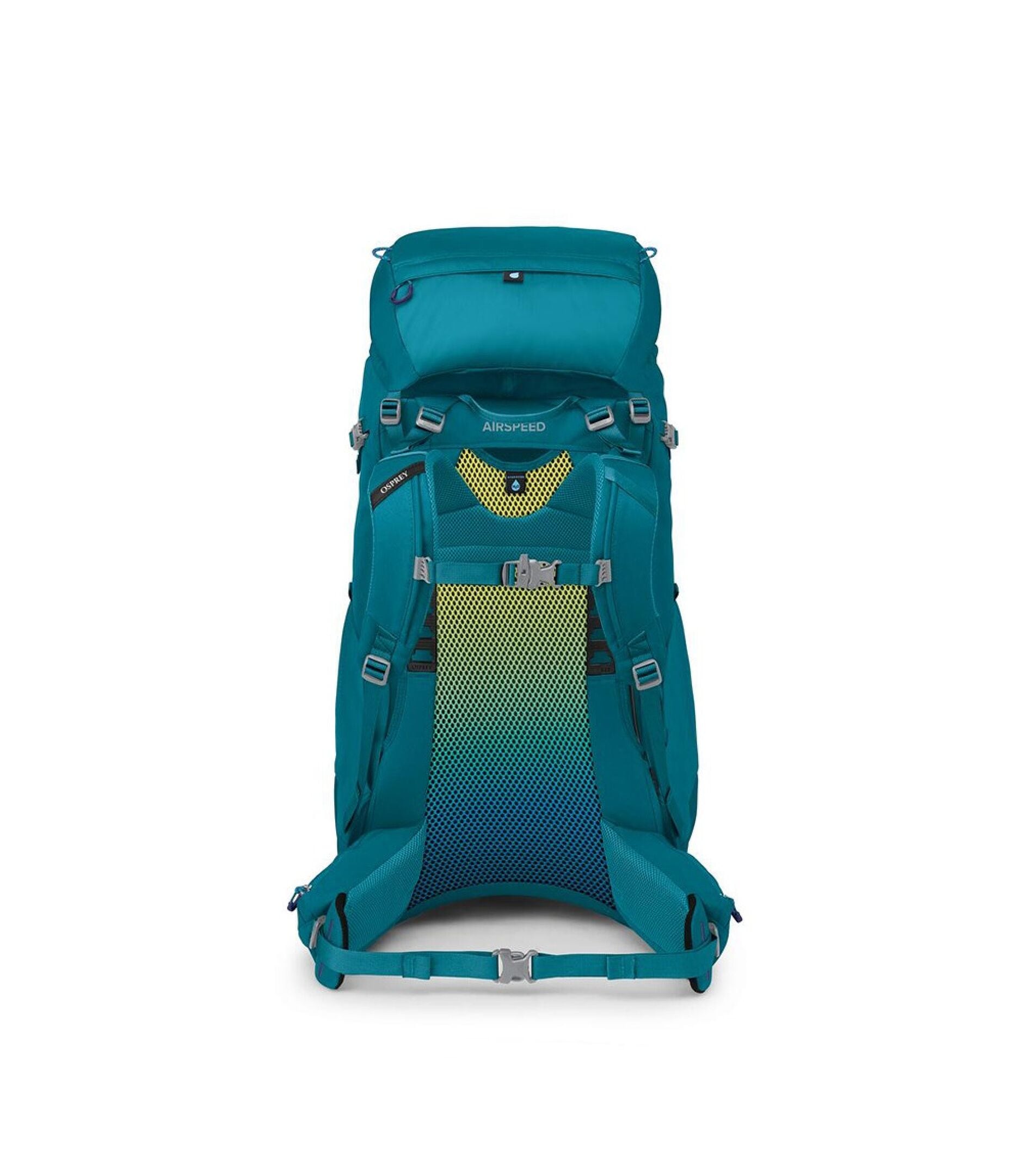 Osprey Ace 50 blue Spikemoss O/S