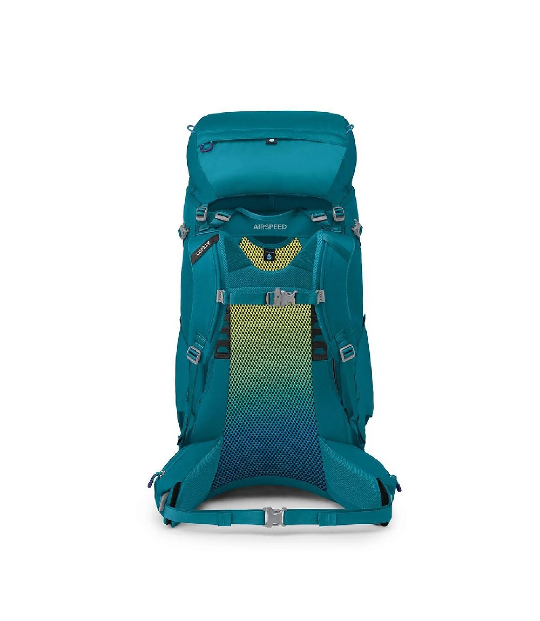 Osprey Ace 65 Blue Spikemoss O/S