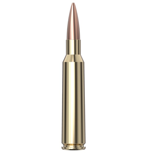 Hornady Train / Hunt 6,5x55 100 Gr OTM