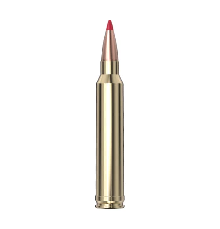 Hornady Precision Hunter 300 Win Mag 178 Gr ELD-X