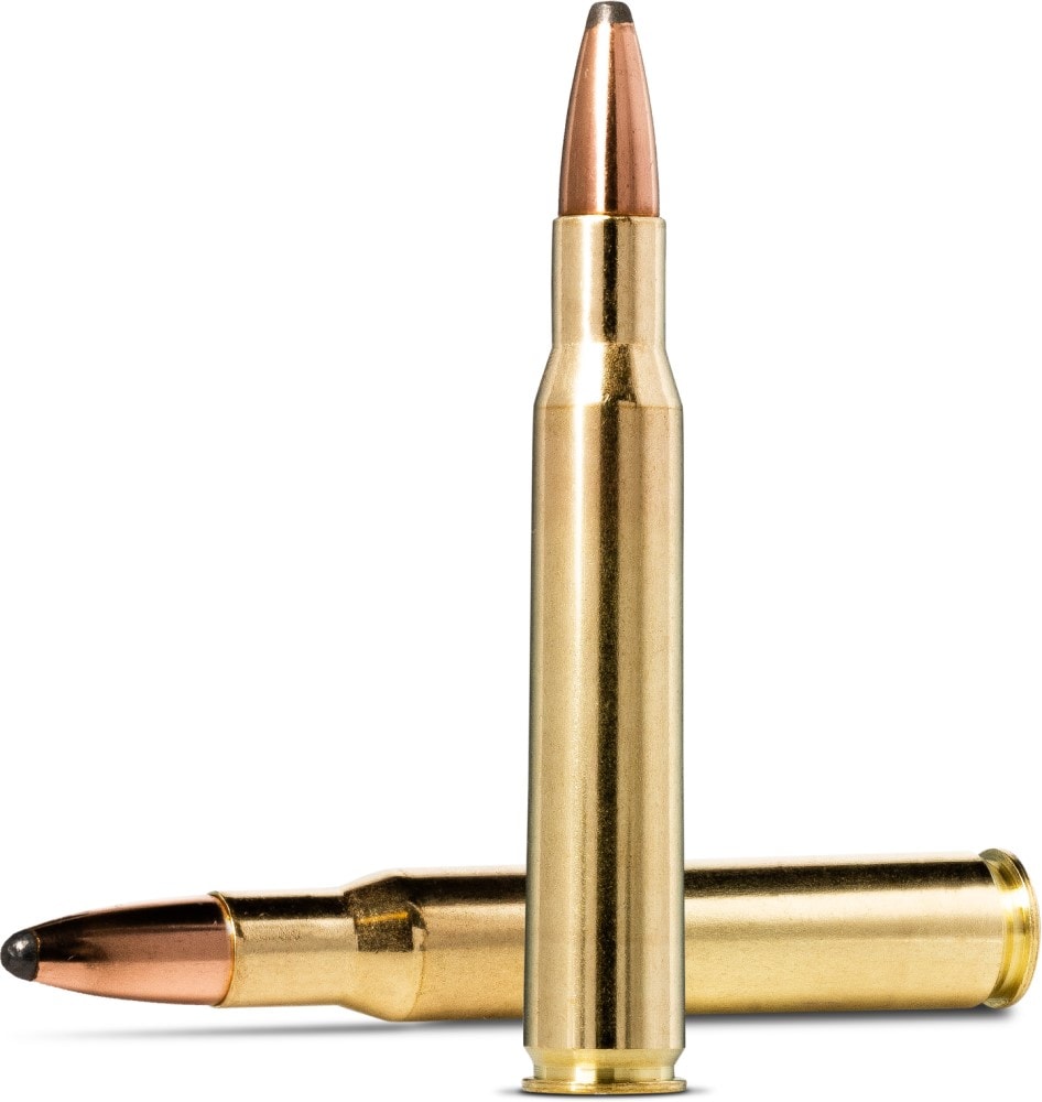 Norma Whitetail 308 Win 11,7g / 180gr